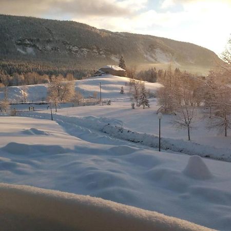 Les Chamois Lägenhet Lajoux Exteriör bild