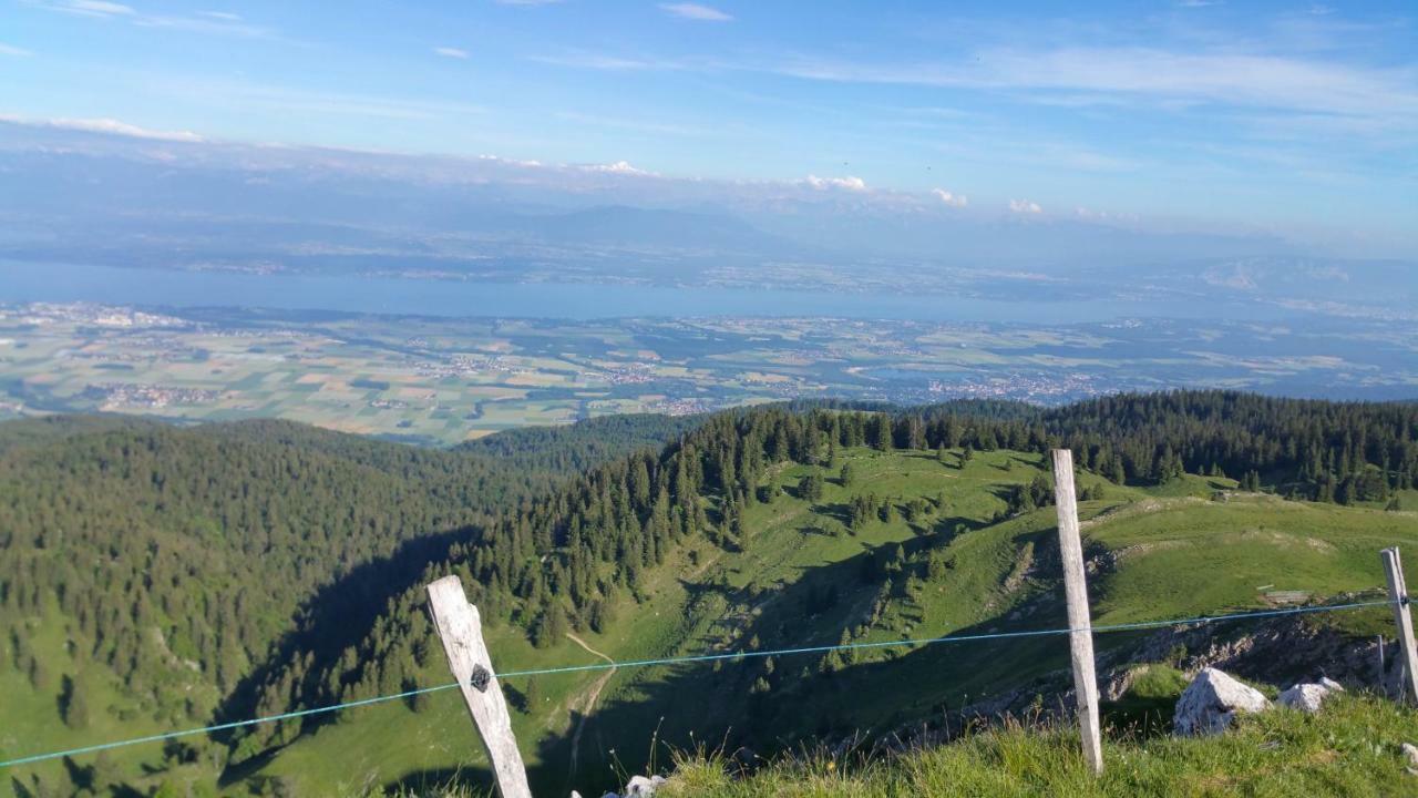 Les Chamois Lägenhet Lajoux Exteriör bild