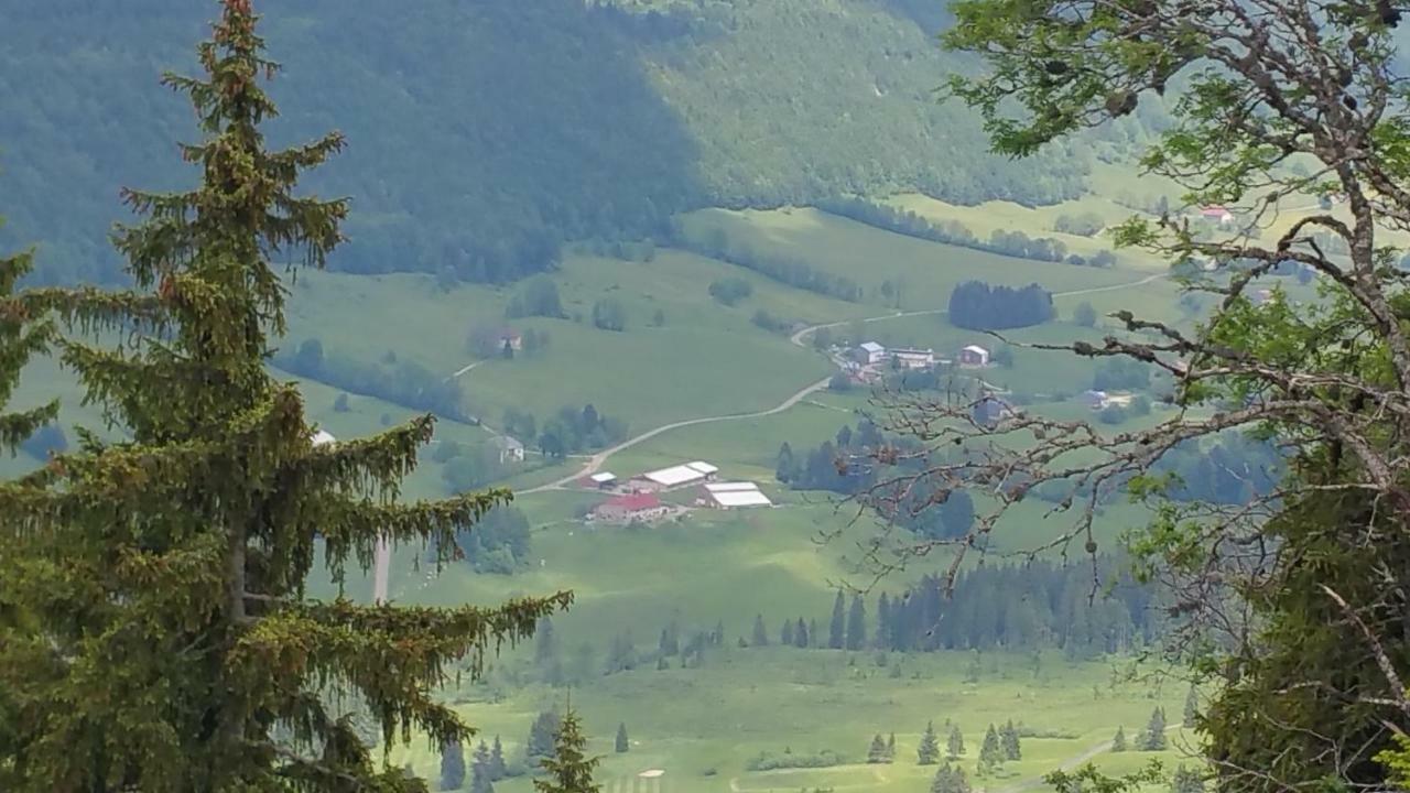 Les Chamois Lägenhet Lajoux Exteriör bild