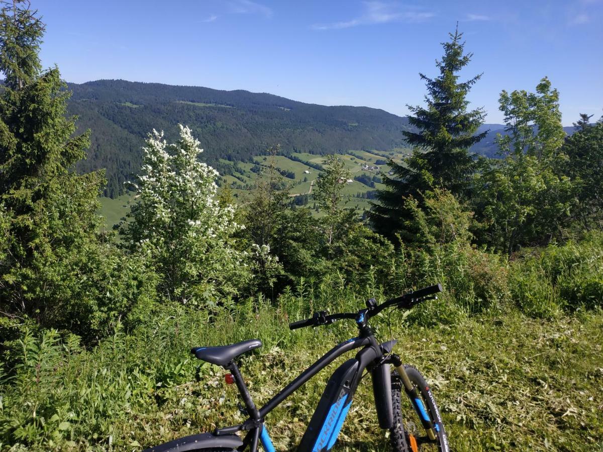 Les Chamois Lägenhet Lajoux Exteriör bild