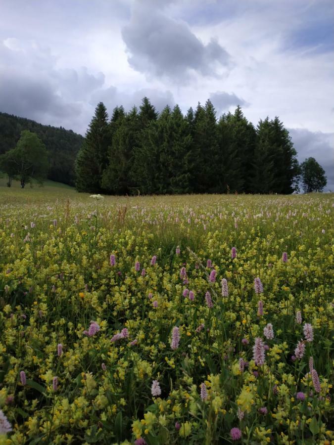 Les Chamois Lägenhet Lajoux Exteriör bild